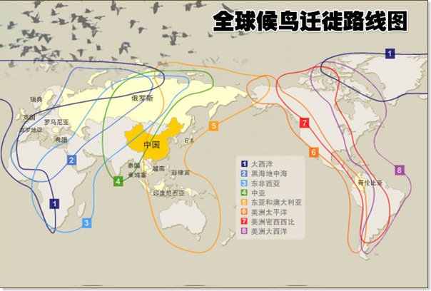 1611883727968061.jpg 4.jpg